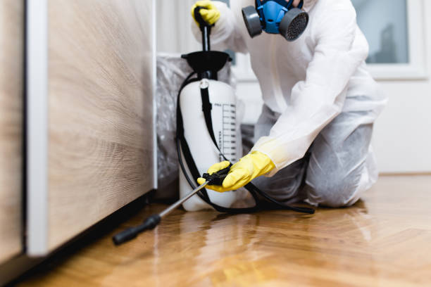 woman exterminator in work wear spraying pesticide or insecticide with sprayer woman exterminator in work wear spraying pesticide or insecticide with sprayer
