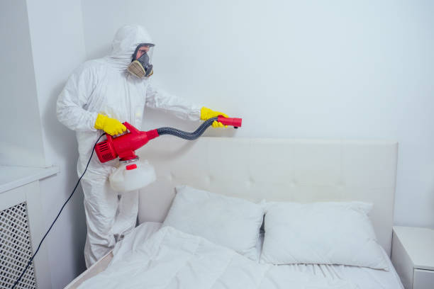 pest control worker lying on floor and spraying pesticides in bedroom. pest control worker lying on floor and spraying pesticides in bedroom.